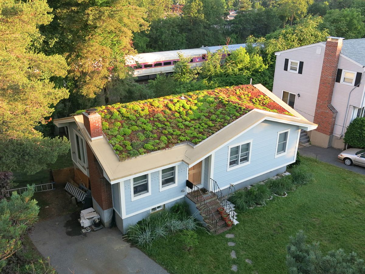 a green roof on top of a single family home