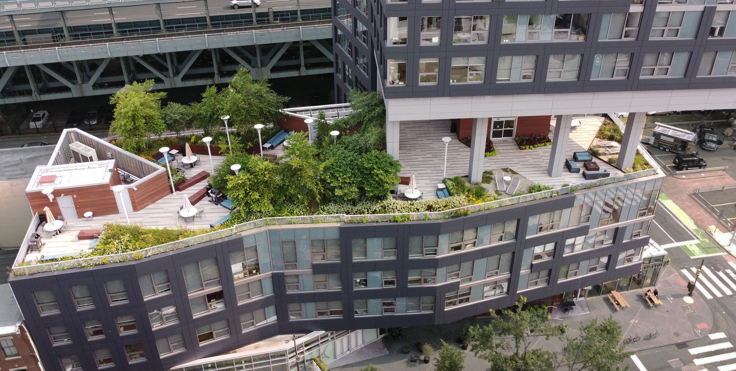 an intensive green roof